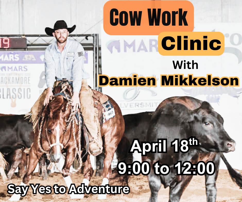 April 18th Cow Work-morning session Mondovi, WI