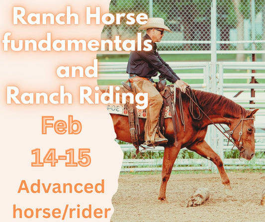 Ranch Horse Fundamentals & Ranch Riding clinic Feb 14-15 1p-5p Int/Adv