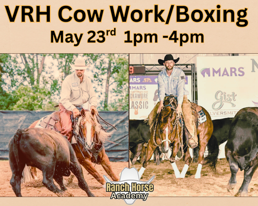 SATURDAY PM Cow Work/Boxing-Ranch Horse Academy