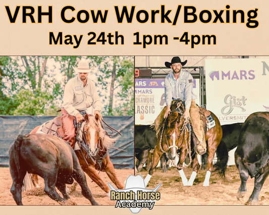 SUNDAY PM Cow Work/Boxing-Ranch Horse Academy