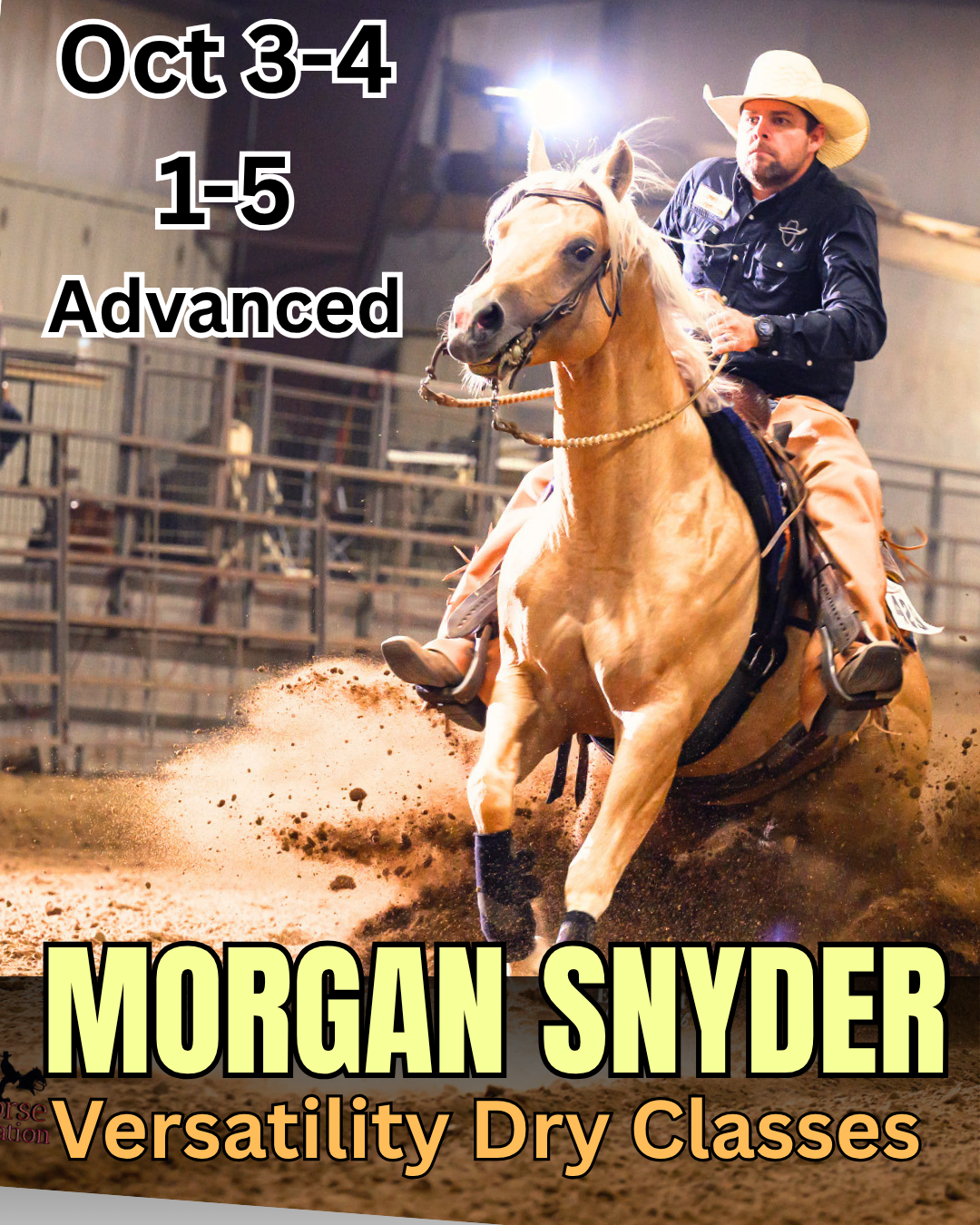 Ranch Riding, Reining, Trail clinic Oct 3-4 1p-5p advanced rider/horse